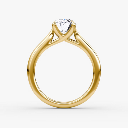 Trellis Cathedral Oval Plain Engagement Ring