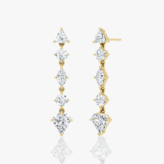 Mixed Drop Shield Earring